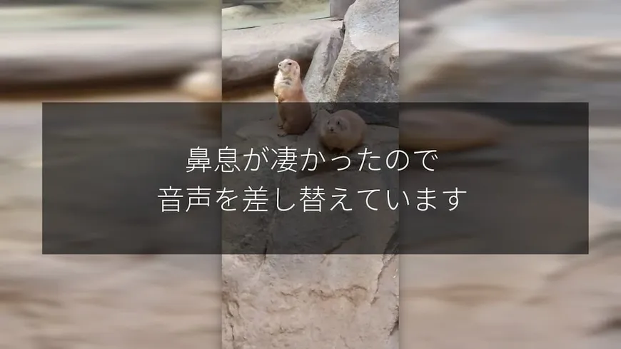 最悪なサムネイル画像