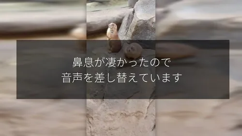 最悪なサムネイル画像